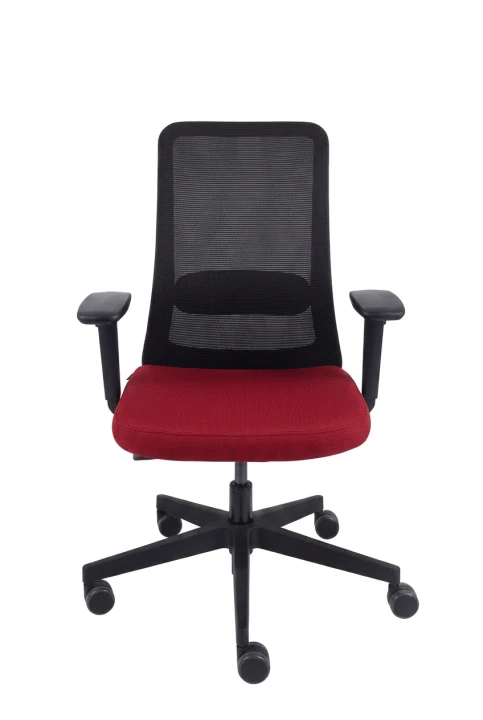N02.png