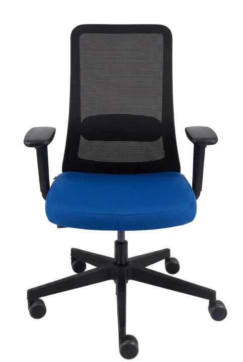 N03.png