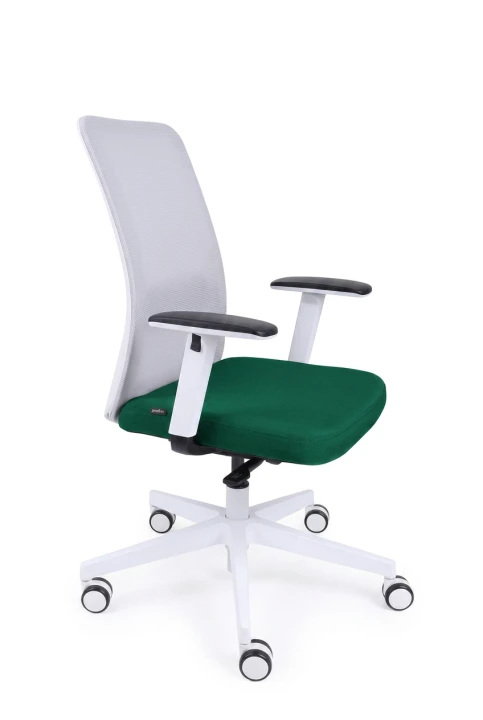 MV16.png