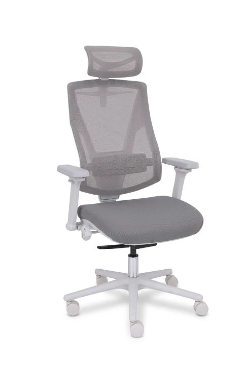 N05.png