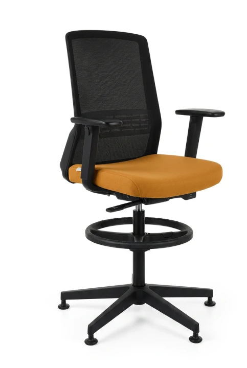 MV07.png