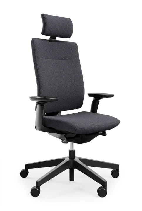 EVO 1.png