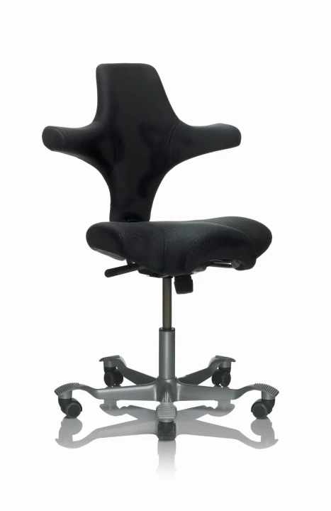 HÅG Capisco 8106_black_silver base.jpg